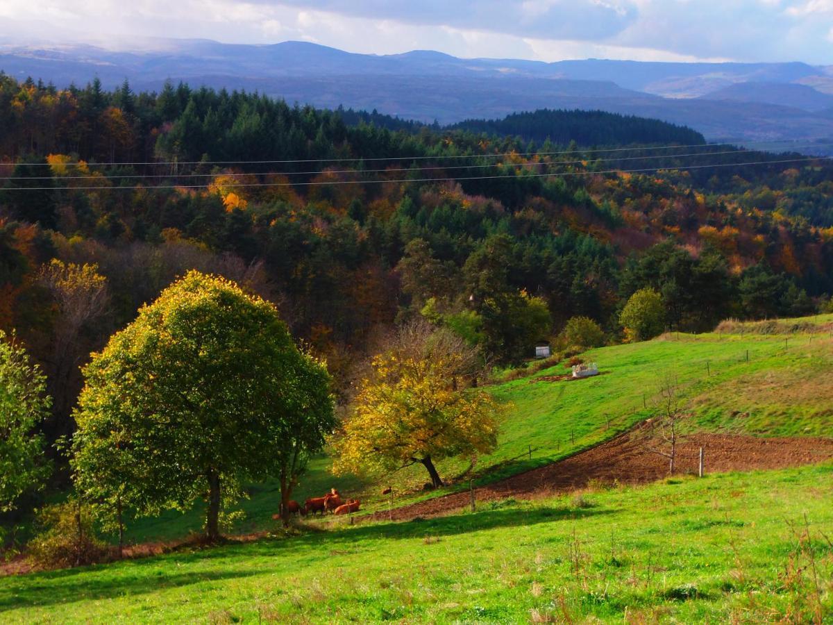 Le Vallon D'Armandine, Gite Ecologique Auvergne Saint-Hilaire  Eksteriør billede